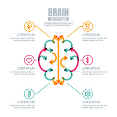 Vector brain infographics design and icons set. Brain made from colorful arrows, isolated on white background. Concept for business, brainstorming, high technology, development, innovation, creativity