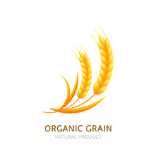 Wheat or rye grain logo, icon or label vector design elements. Concept for organic products, harvest and farming, bakery. Healthy food symbol.