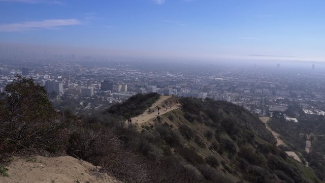 A view of the Los Angeles valley from atop Runyon Canyon.  	