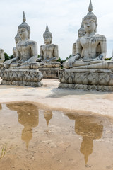 Fototapeta na wymiar The Park of Buddha Statue