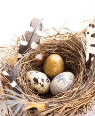 Naklejka na ściany i meble Photo with Easter eggs nest and feathers on a white studio backg