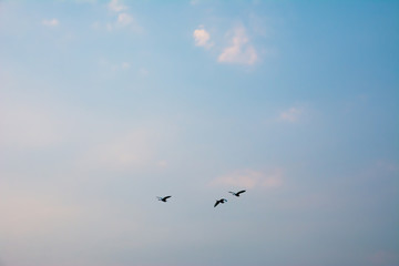 blue sky cloud background