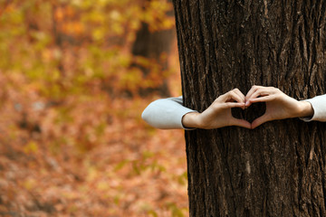 Human hands hugging tree in the park