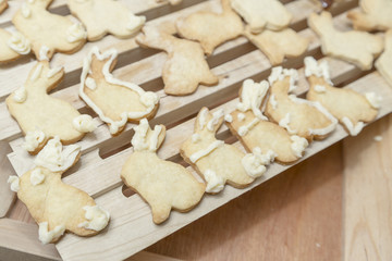 Bunny Rabbit Cookies Homestyle Baking