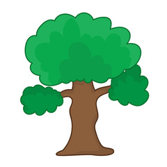 tree isolated illustration