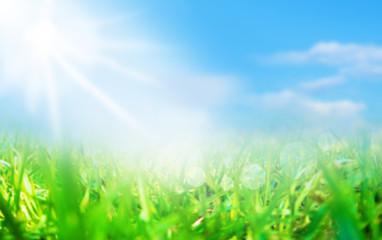 Fototapeta na wymiar Grass field, blue sky and sun light ray; blurred background