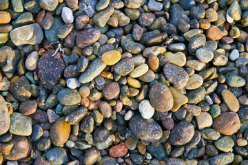 Pebbles on a Beach