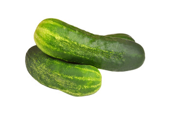 Green cucumber gherkin