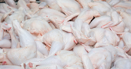 Background of raw chickens - 103956165