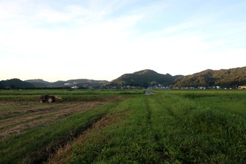 Obraz premium 田舎の夕暮れ