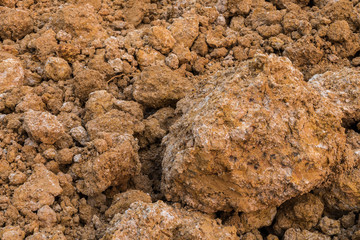  laterite soil