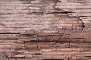 crack old rooen wood texture