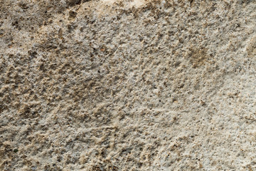 the old concrete wall.