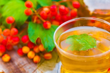 green tea with viburnum