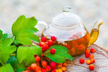 green tea with viburnum