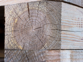 texture of tree felling