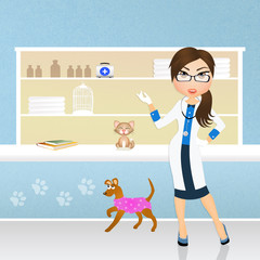 veterinary care animals