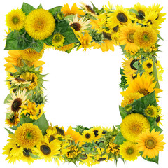 Square summer sunflowers frame
