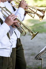 Obraz na płótnie Canvas musicians at the festival of military bands