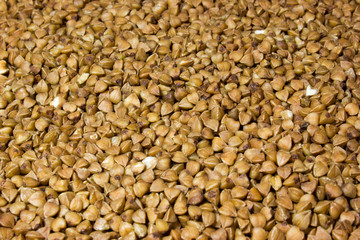 Buckwheat
