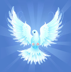 White Dove
