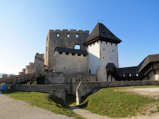 Fototapeta na wymiar Celje Castle in Slovenia