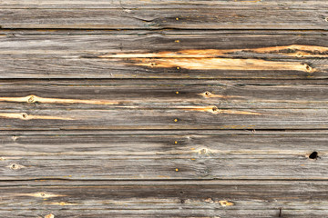 Naklejka premium The old wood texture with natural patterns
