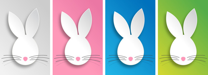 Kaninchenkopf © Brad Pict