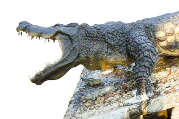Foto op Aluminium Krokodil Isoleer krokodil agape.