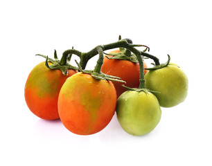 Tomatoes red , green and yellow on white background