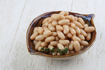 White canned kidney
