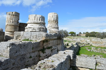 Fototapeta na wymiar Vestiges d'un temple antique de Paestum