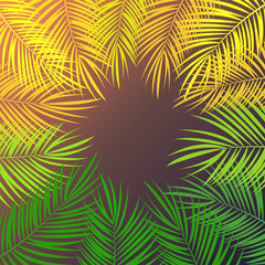 Obraz premium Palm Leaf Vector Background Illustration