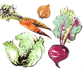 vegetables watercolor illustration