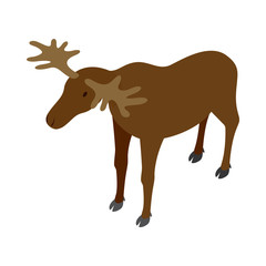 Deer icon, isometric 3d style