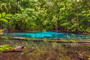 paradise Pool Krabi Province, Thailand