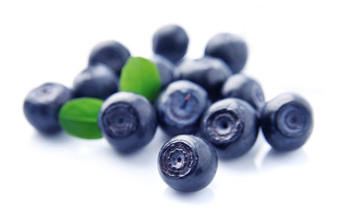 Blueberries with leaves