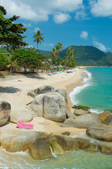 Landscape of Koh Samui island