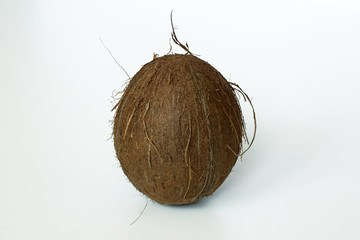 coconut, one, isolated on white background