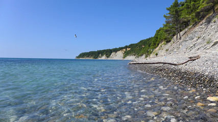 Black Sea Coast, Russia1