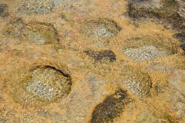 Wet limestone background.