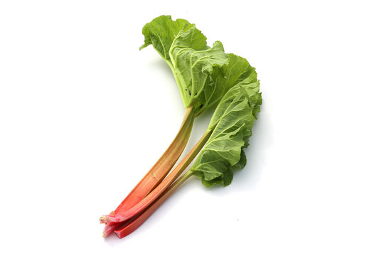 rhubarbe