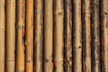 Vintage bamboo