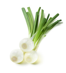Green spring onion square composition isolated