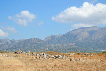 Summer mountain landscape.