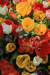 Obraz na płótnie Canvas Tulip bouquet