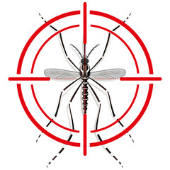 Nature, Aedes Aegypti mosquitoes stilt with sight signal or target, top view