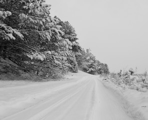 Road covered with snow. Snowfall in the forest way