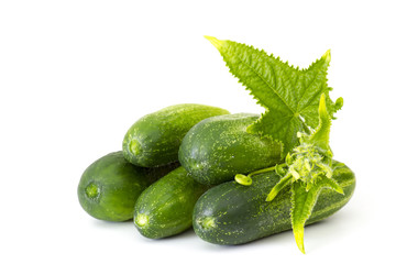fresh cucumbers