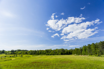 Fototapeta premium scenic view of rural countryside